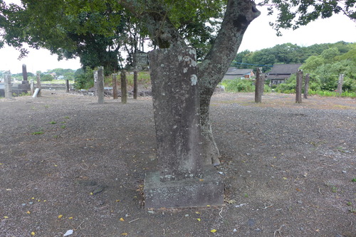 P1230673