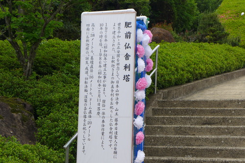 P1120490