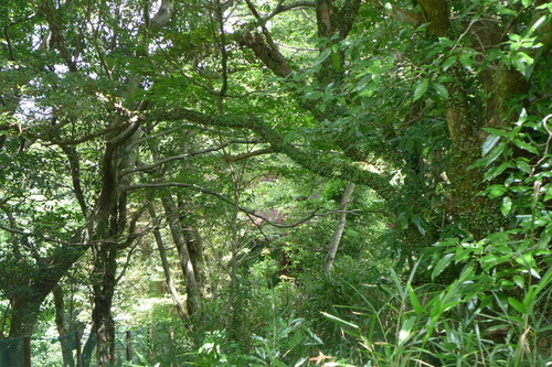 P1150866