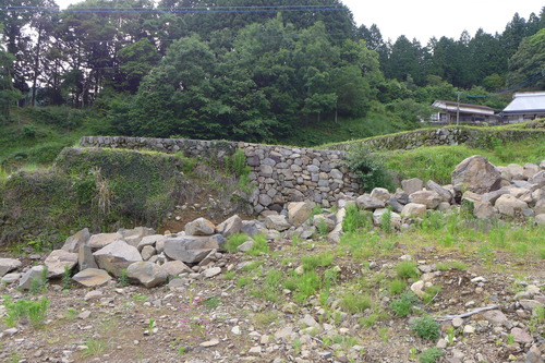 P1140043