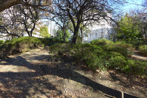 P1050136