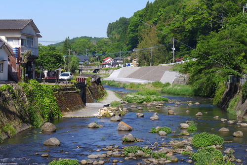 P1530282