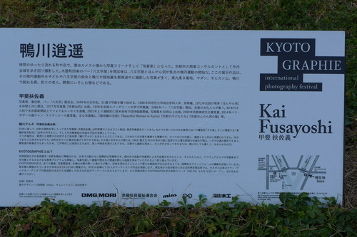 P1020433