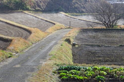 P1630394のコピー