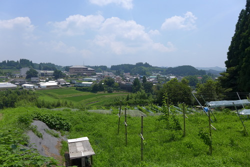 P1280344