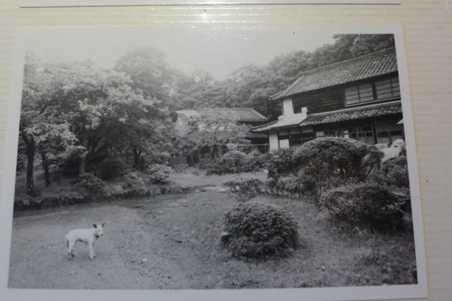 P1160932