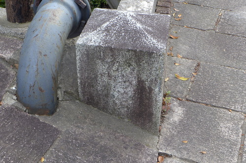 P1500248