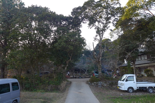 P1060247