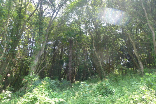 P1200436