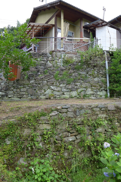 P1090225 のコピー