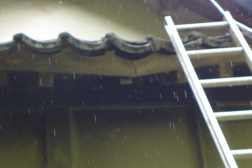 P1140245