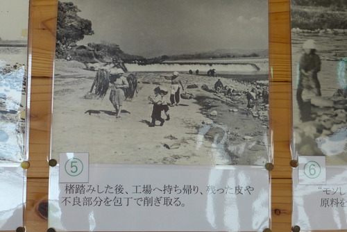 P1210173