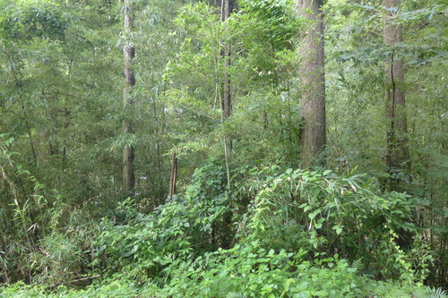 P1300351