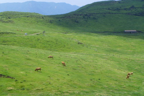 P1200937