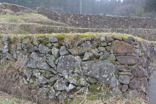 P1020749