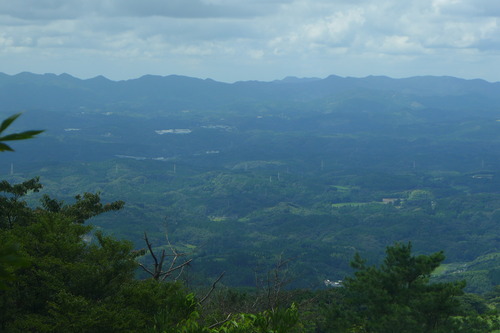 P1150859