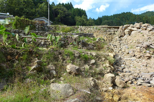 P1250803