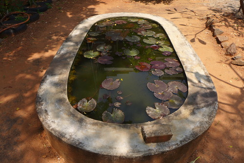 P1470835