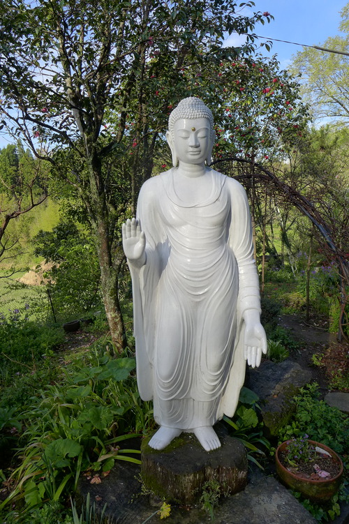 P1130261