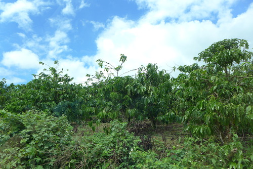 P1050615