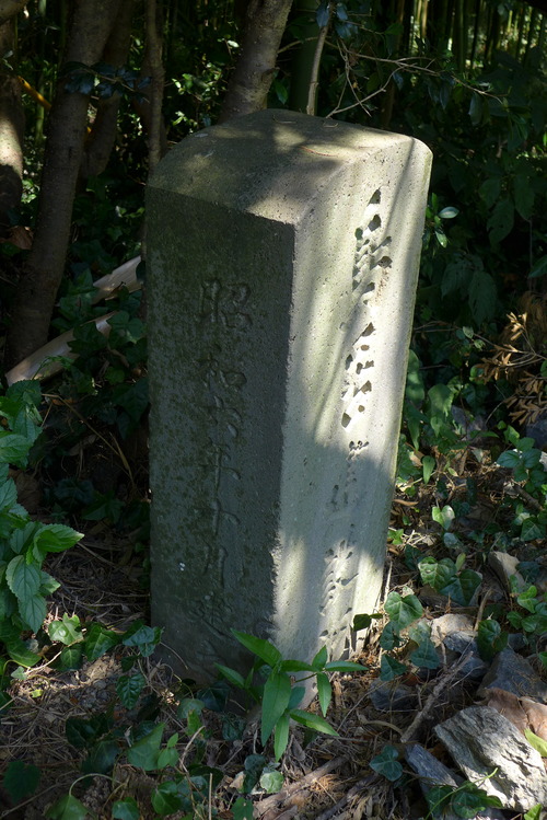 P1170840