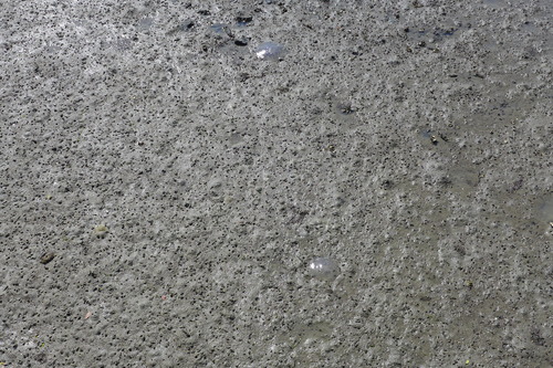 P1120454