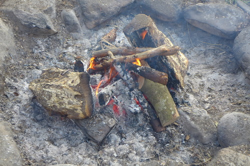 P1060330