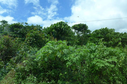 P1050614
