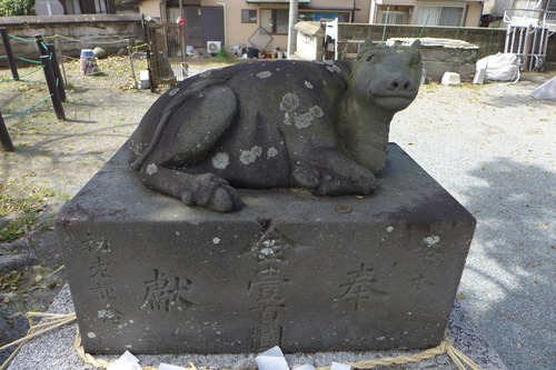 P1060016