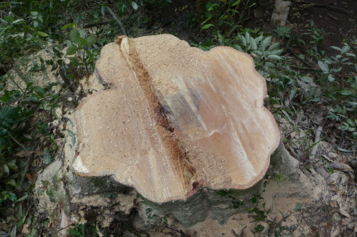 P1160858
