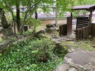 IMG_3863