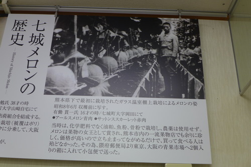 P1130749