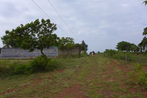 P1190924