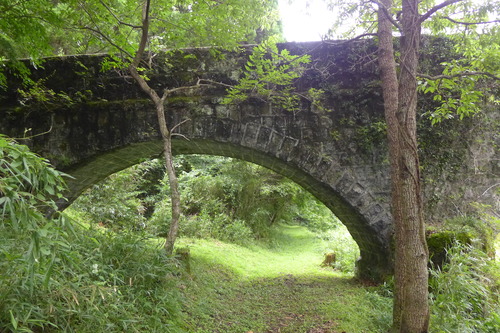 P1300409