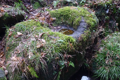 P1100168