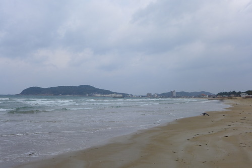 P1030950