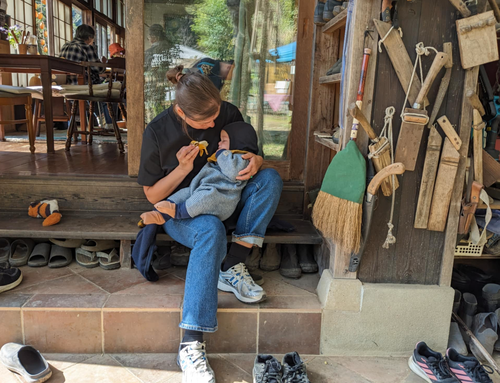 JohnくんOlaさんピョートルくん日本グランドツアーの途中経過写真が届きました！20251128わずか２ヶ月余りの大縦断の模様！！