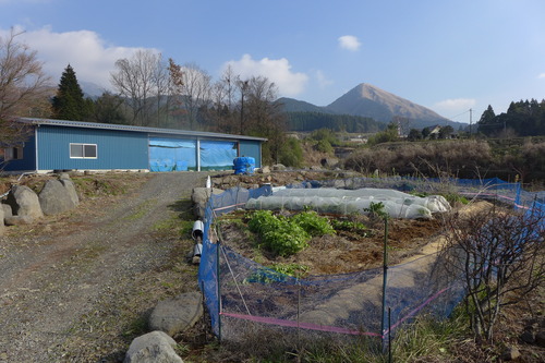 P1550261