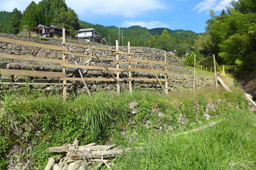 P1250786