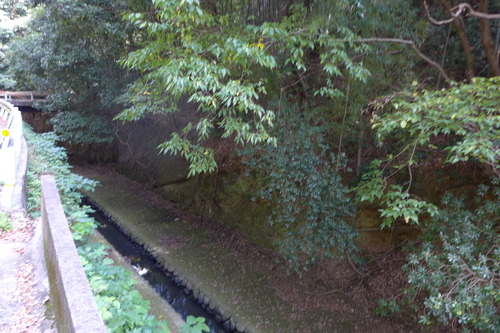 P1500395