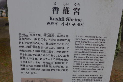 P1070299