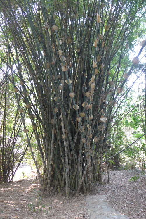 P1450192