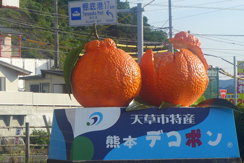P1070978