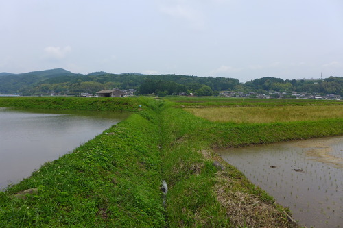 P1100827