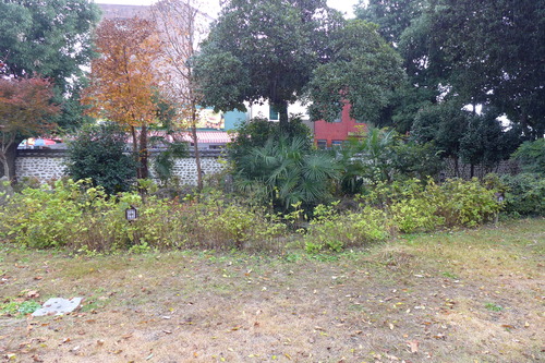 P1050613
