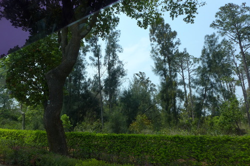 P1430553