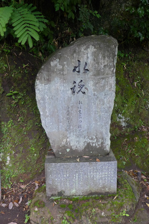 P1300342