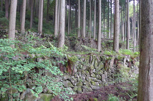 P1140069
