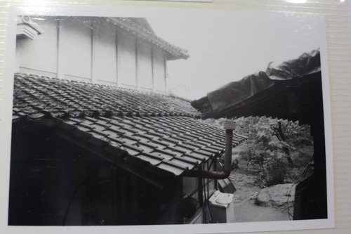 P1160935