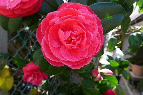 P1060058